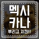 멕시카나익산 이미지