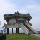 지방도442호선 이팝나무길 | 가까운 우리의 옛 땅, 대마도 북부 나들이 (장송사 백제은행나무, 히타까츠항, 미우다해변, 한국전망대)