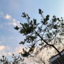 용인 미르힐 이미지