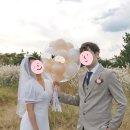 계룡산편백숲입구 이미지