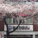 김해 삼방동 육사시미가 맛있는 한우암소한마리 내돈내산후기