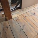 구름꽈배기.만두 | 봄은 오기에, 잠시뿐인 겨울이기에