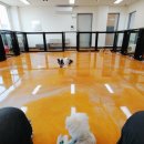 엔조이펫 이미지