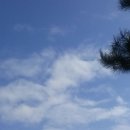 정발산경희한의원 이미지