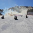 용평리조트 이미지