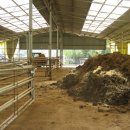 순천한우 농장 이미지