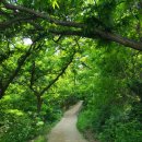 아름도담길 이미지