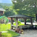 나무이야기 펜션 리솜포레스트 이미지