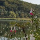 백운행정사사무소 이미지