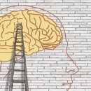 교육심리학 이미지