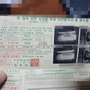 “교통위반 범칙금 납부하지 마세요” 안내도 되는 ‘이 방법’이 있습니다 이미지