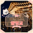 화니코스 | 안동 월영교 야경 매력 가득 안동 여행 코스 후기