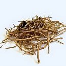 으랏차차한의원 | 으랏차차, 요즘 컨디션 난조였던 나 구원템 찾음!