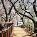 수지체육공원 농구장 이미지