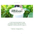 더큰빛유치원 | 추석·설날 명절 유치원 여아 한복 머리핀ㅣ아이르본 배씨댕기 내돈내산 후기