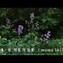 들꽃 - 유익종 1997 이미지