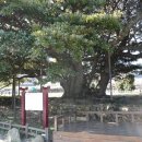 착한밥집 이미지