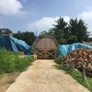 강화대로 이미지