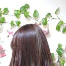 다전헤어라인 이미지