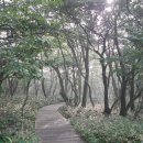 한라산마루 이미지