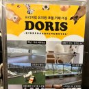 도리스 | [하남애견카페추천] 하남미사 도리스 애견카페 만족스러운 방문 후기