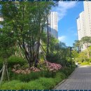 염주센트럴공인중개사사무소 | 화정동부동산 염주포스코 상가 부동산 파트너 후기