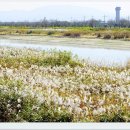 동진강변공원 이미지