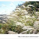 어느가을 오후 이미지