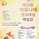 마로니에 이미지