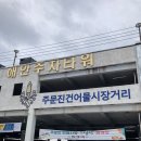 [주문진배달맛집 &#39;해안로1709&#39;] 싱싱한 참문어&amp;특대 백골뱅이 포장 후기