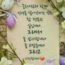 아씨