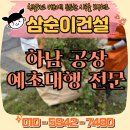 무성환경 | 하남 예초대행 공장 주변 무성한 잡초 제거 후기