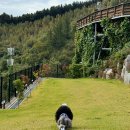 빌라드루이 이미지