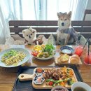 펫식당