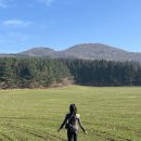 상하하영목장 | 제주도 게하 스탭 휴무 및 쉬는시간 후기