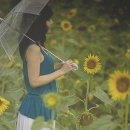 광혜약국 이미지