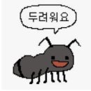 신촌토플학원 관두고 눈물 흘린 이유, 토플 성공 후기