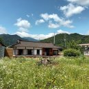 효가사거리 버스정류장 | 달방동 맛집 베스트 10 추천