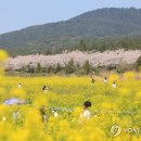 봄 연합뉴스