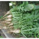 문경새재황토민박 이미지