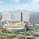 영남대학교 이미지