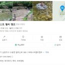 바이오밸리길 | 반려견동반캠핑장 / 남양주 포레스트벨리캠프 애견동반캠핑 후기