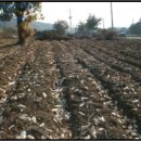 늘목리 진료소 이미지