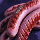 하마고기행신