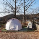 피플앤독 이미지