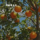 4월 4주차 미술계 소식