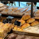 머거두댕 이미지