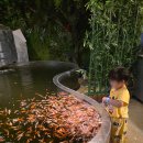 원픽 | 채아의 원픽! 쥬라리움 후기 1탄~