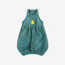 퍼피젤리 이미지