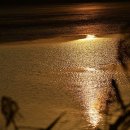 주남저수지 이미지